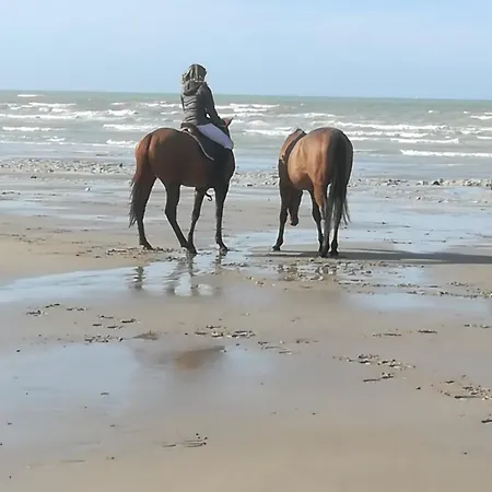 Le Retour De La Plage, Hébergement de vacances